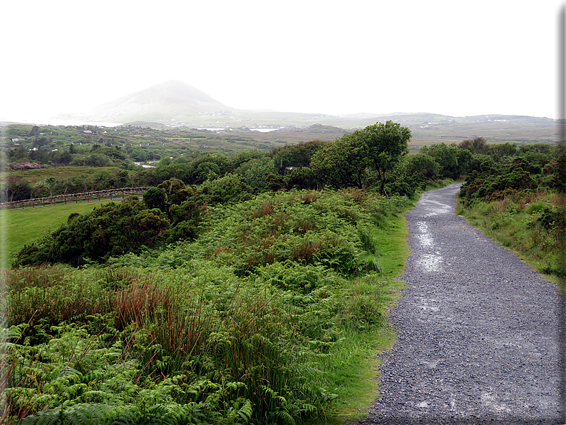 foto Parco nazionale di Connemara